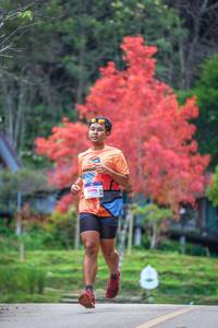 BIB: 8096
                            <button type="button" onclick="openModal(19239000)" class="btn btn-primary btn-sm float-right btn-popup" data-toggle="modal" data-target=".modal-high-quality">
                        <i class="fas fa-shopping-cart"></i> Add to Cart
                    </button>
                                            <button type="button" onclick="isThisMe(19239000, true)" class="btn btn-success btn-sm float-right btn-popup btn-isme hidden" data-toggle="tooltip" data-placement="bottom" title="นี่คือรูปของคุณใช่ไหม คลิกที่นี่เพื่อเอาเข้าอัลบั้ม">
                        <i class="fas fa-plus"></i> Add to album
                    </button>
                    <button type="button" onclick="isThisMe(19239000, false)" class="btn btn-warning btn-sm float-right btn-popup btn-isnotme hidden">
                        <i class="fas fa-ban"></i> Remove from album
                    </button>